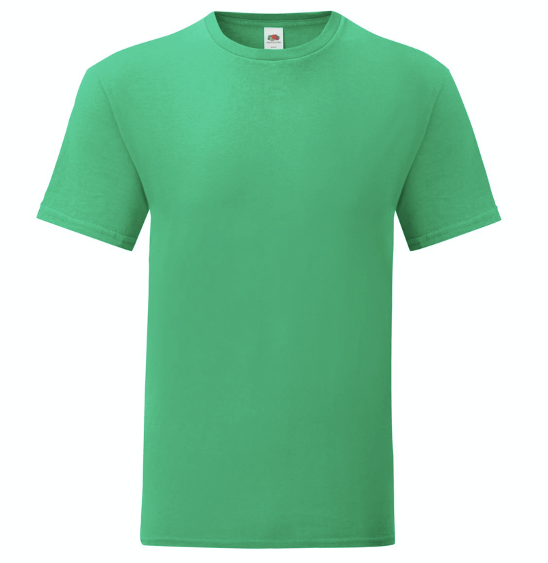 t-shirt maglietta fruit of the loom iconic personalizzata ingrosso rivenditori fornitori alterego custom shop verde